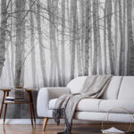 Fototapety Skupina stromov v hmlistom lese
