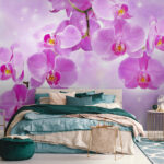 Fototapety Jemné orchidey v jemných odtieňoch