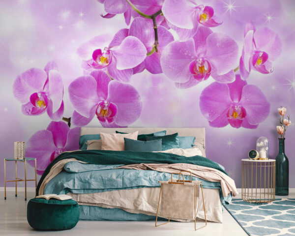 Fototapety Jemné orchidey v jemných odtieňoch (Katalógové číslo: u55600) Fototapety Fototapety Jemné orchidey v jemných odtieňoch (Katalógové číslo: u55600)