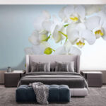 Fototapety Biele orchidey nad vodou