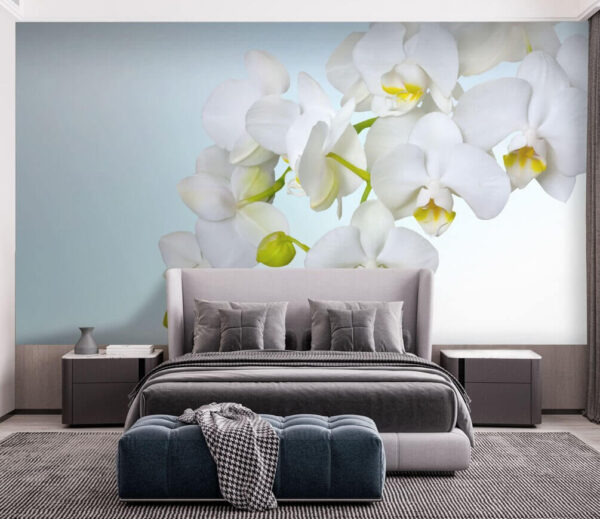 Biele orchidey nad vodou Fototapety Biele orchidey nad vodou