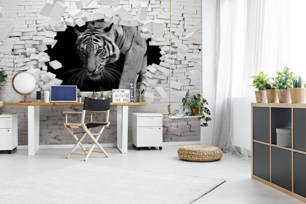 Biely tiger s modrými očami Fototapety Biely tiger s modrými očami