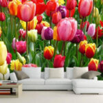 Fototapety Skupina farebných tulipánov