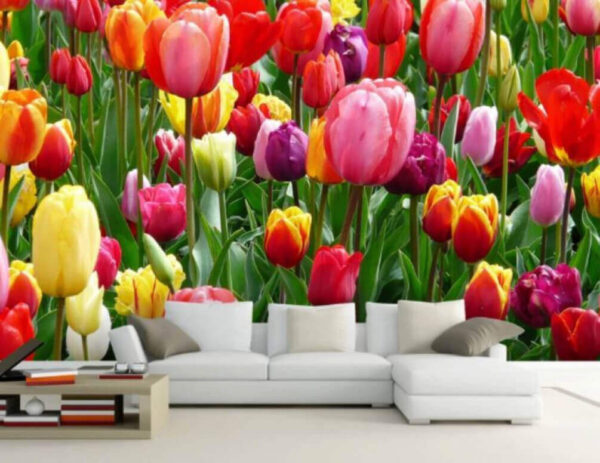 Skupina farebných tulipánov Fototapety Skupina farebných tulipánov
