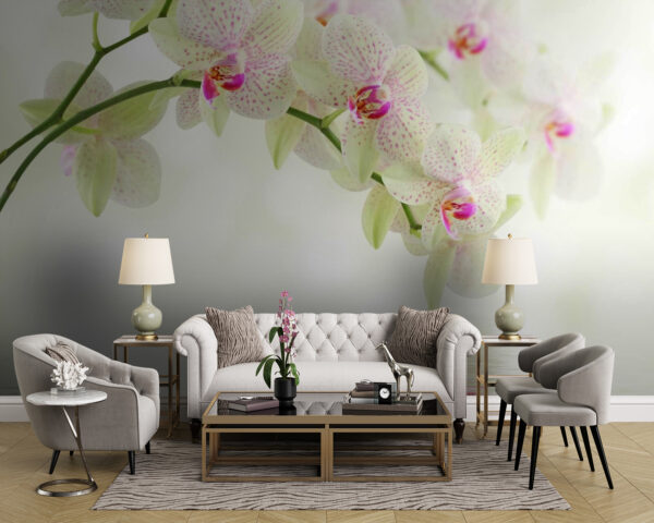 Orchidey odrážajúce sa v pokojnej vode Fototapety Orchidey odrážajúce sa v pokojnej vode