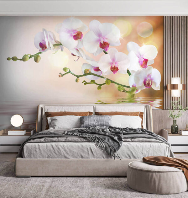 Orchidey odrážajúce sa na pokojnej vode Fototapety Orchidey odrážajúce sa na pokojnej vode