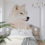 Fototapety Biely vlk na snehu