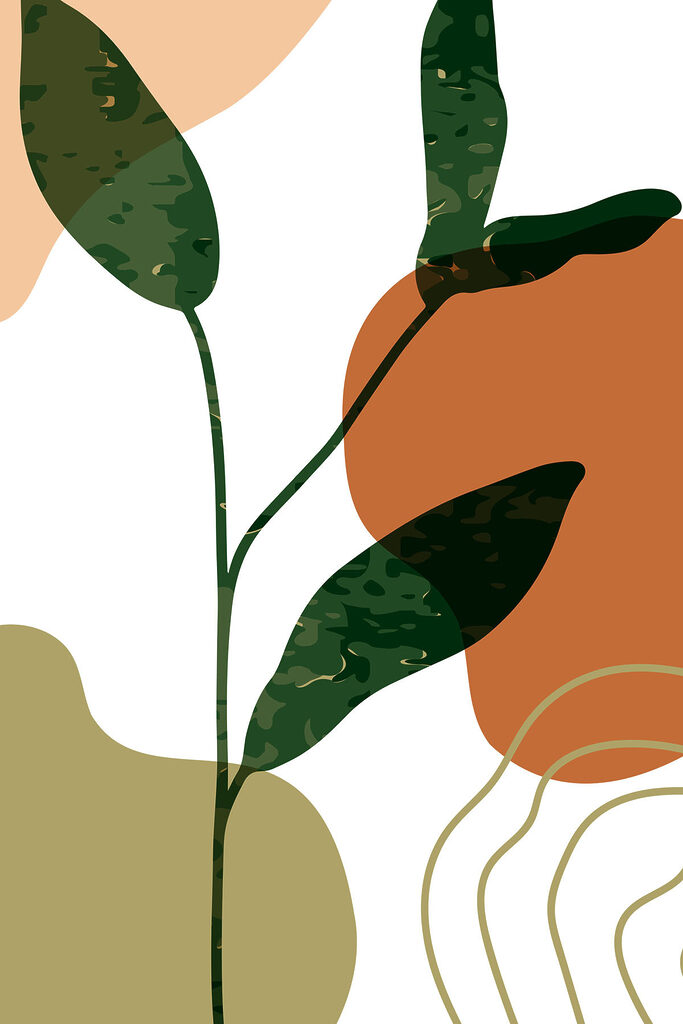 Obrázok #1 z  Dumitru M.