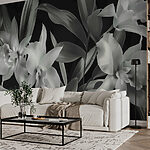 Fototapety Monochromatické orchidey v rozkvete
