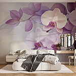 Fototapety Jemné fialové orchidey v jemných odtieňoch