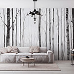 Fototapety Skupina stromov v lese