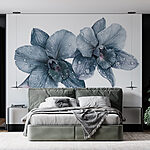 Fototapety Jemné orchidey s rannou rosou