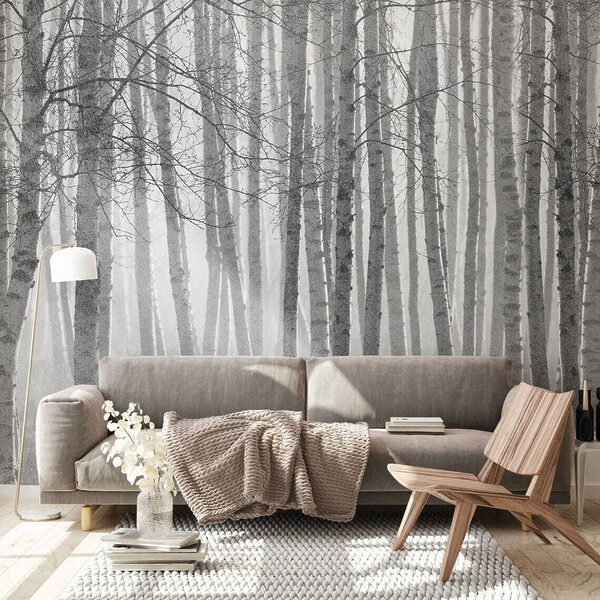 Fototapety Skupina stromov v hmlistom lese