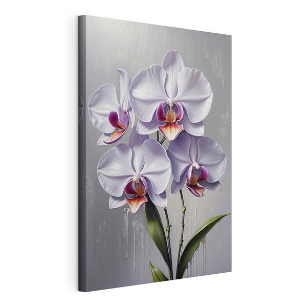 Obraz Kvitnú elegantné biele a ružové orchidey