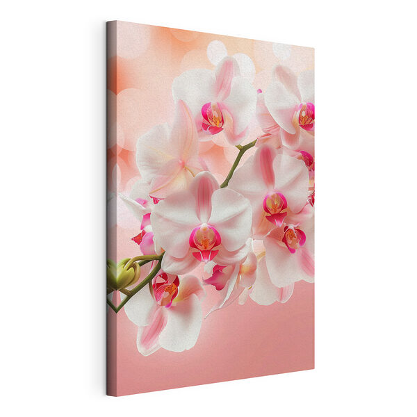 Obraz Elegantné orchidey v jemných ružových odtieňoch