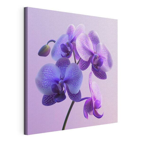 Obraz Fialovo-biely kvet orchidey