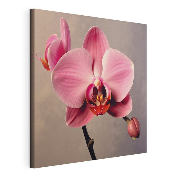 Obraz Kvitnúca jemná ružová orchidea