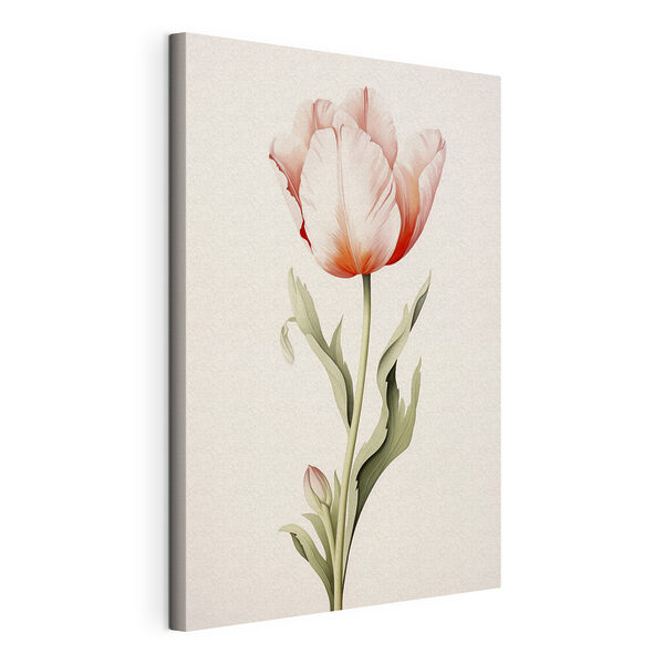 Obraz Krehký tulipán v jemných odtieňoch