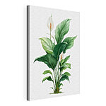 Obraz Rastlina s bielymi kvetmi a zelenými listami